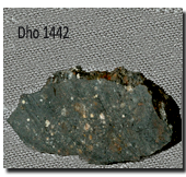 Dho1442 Sample
