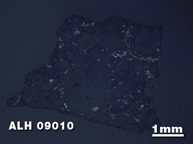 Thin Section Photo of Sample ALH 09010 in Reflected Light with 1.25X Magnification