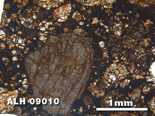 Thin Section Photo of Sample ALH 09010 in Plane-Polarized Light with 2.5X Magnification