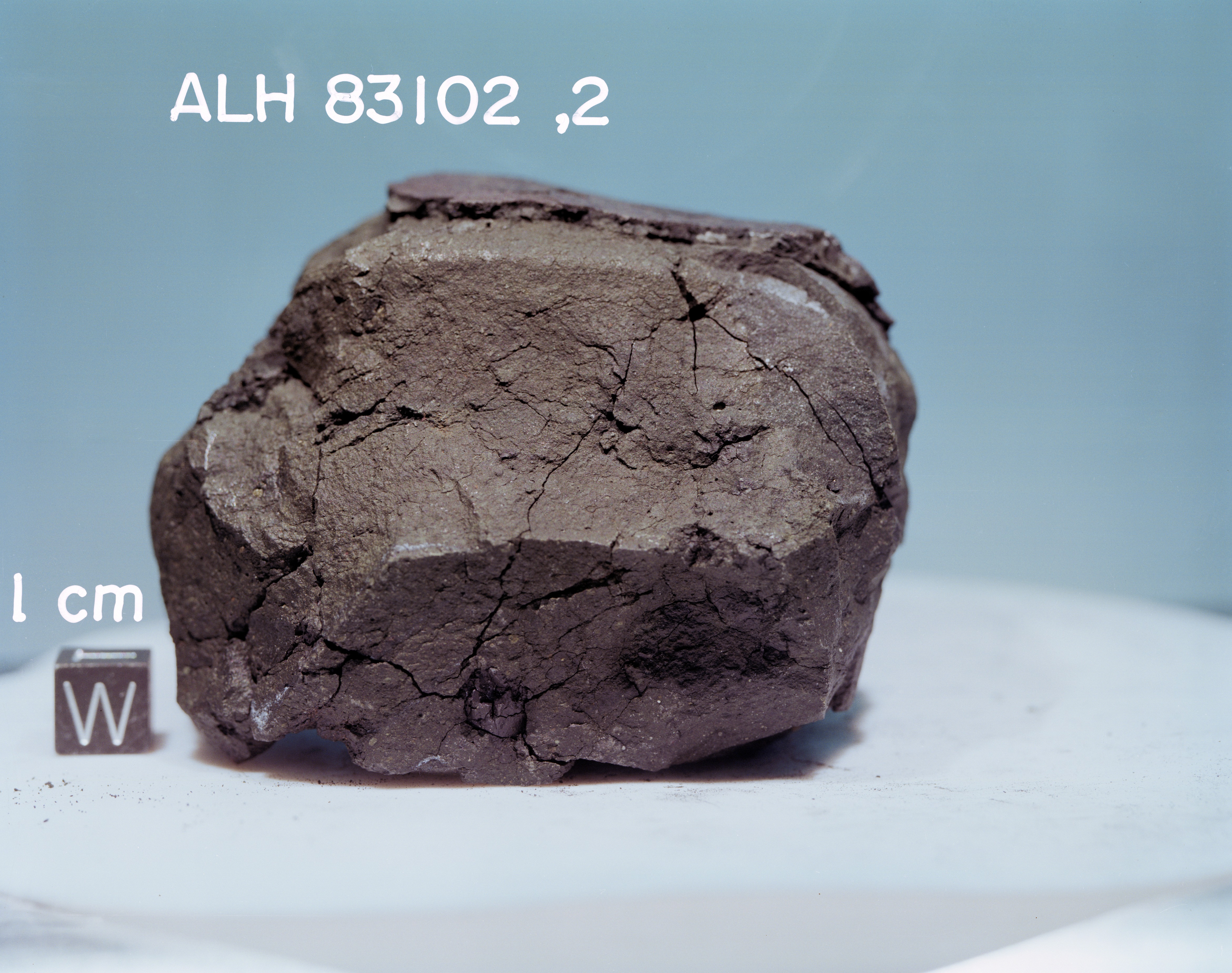B3. Lab Photo of Sample ALH 83102 (Photo Number s84-36005)