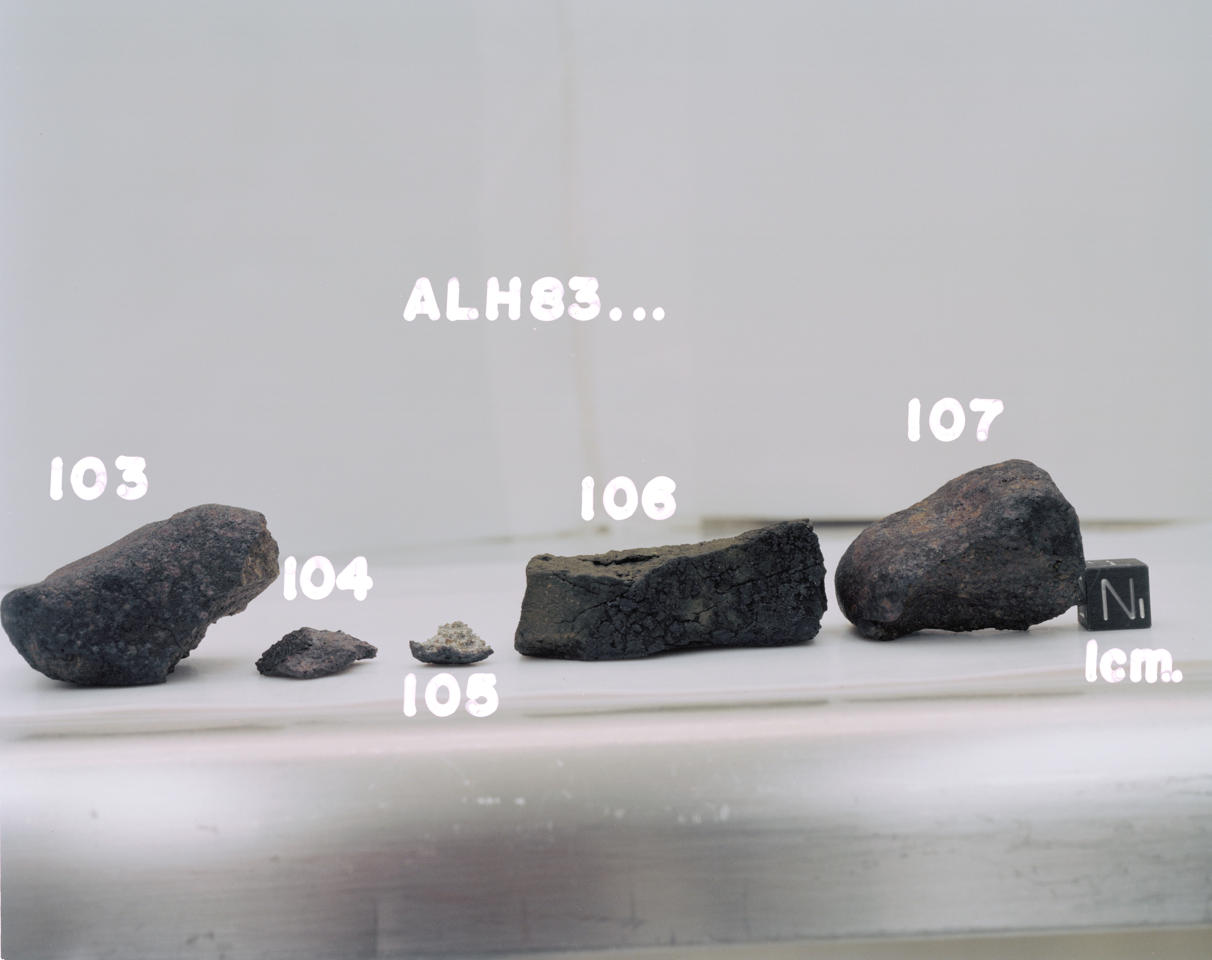 Lab Photo of Sample ALH 83106 (Photo Number s85-39556)