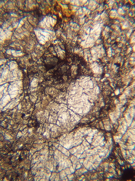 Thin Section Photograph of Sample ALH 84018 in Plane-Polarized Light