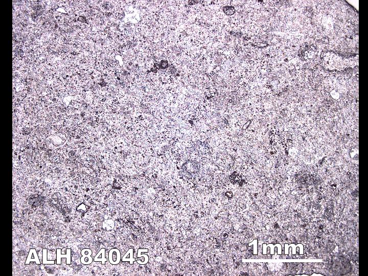 Thin Section Photo of Sample ALH 84045 in Reflected Light