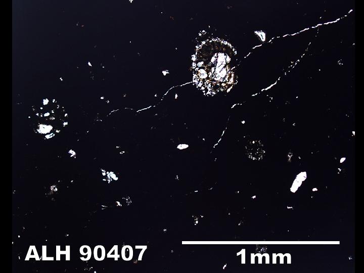 Thin Section Photo of Sample ALH 90407 in Plane-Polarized Light