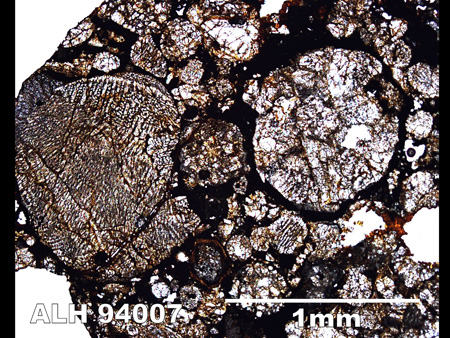 Thin Section Photograph of Sample ALH 94007 in Plane-Polarized Light