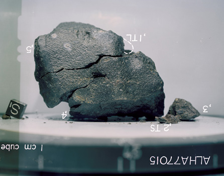 South View of Splits for Sample ALHA77015 (Photo Number: S79-25563)
