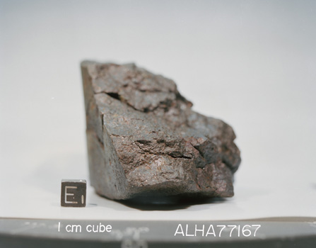 East View of Sample ALHA77167 (Photo Number: S79-25421)