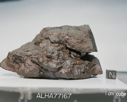 North View of Sample ALHA77167 (Photo Number: S79-25422)