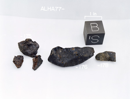 Bottom/South View of Sample Group for Sample ALHA77175 (Photo Number: S80-33200)