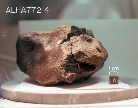 West View of Sample ALHA77214 (Photo Number: S78-33302)