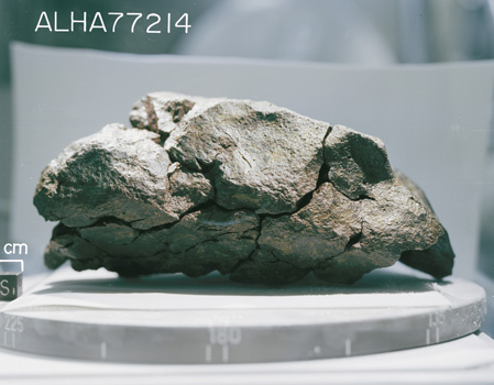 South View of Sample ALHA77214 (Photo Number: S78-33305)