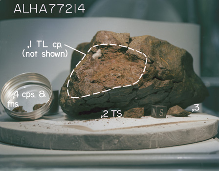 South View of Splits for Sample ALHA77214 (Photo Number: S78-33307)