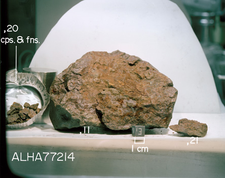 East View of Splits for Sample ALHA77214 (Photo Number: S78-36992)