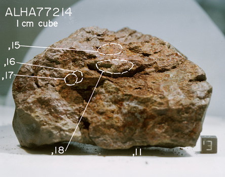East View of Splits for Sample ALHA77214 (Photo Number: S78-36997)