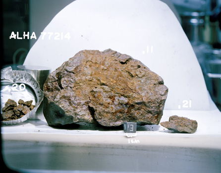 East View of Sample ALHA77214 (Photo Number: S90-32641)