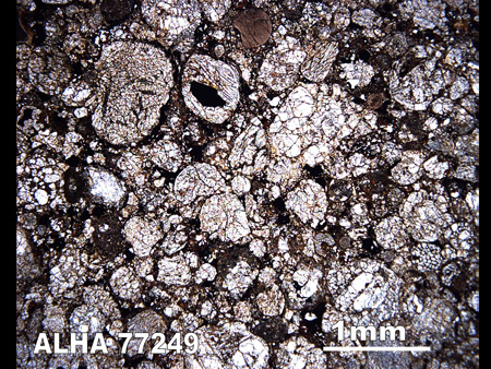 Thin Section Photograph of Sample ALHA 77249 in Plane-Polarized Light