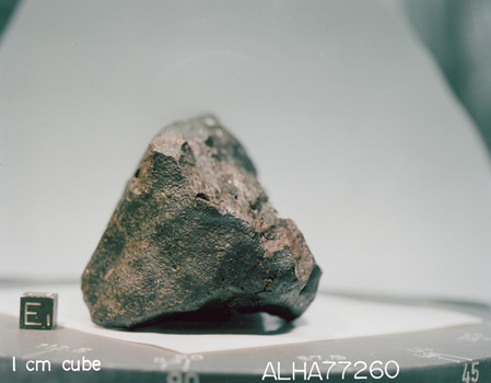 Lab Photograph of Sample ALHA 77260 (Photo Number: S79-28374)