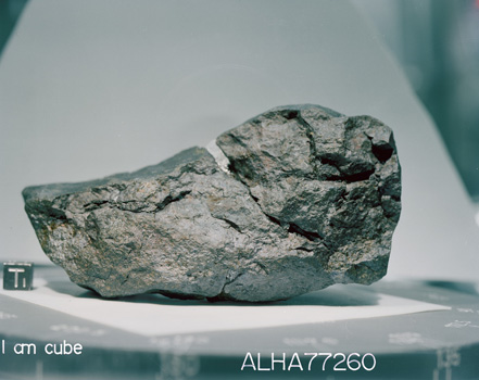 Lab Photograph of Sample ALHA 77260 (Photo Number: S79-28375)