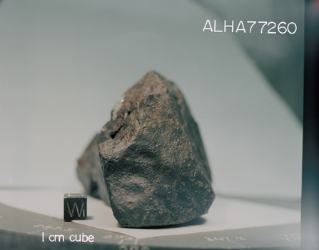 Lab Photograph of Sample ALHA 77260 (Photo Number: S79-28378)
