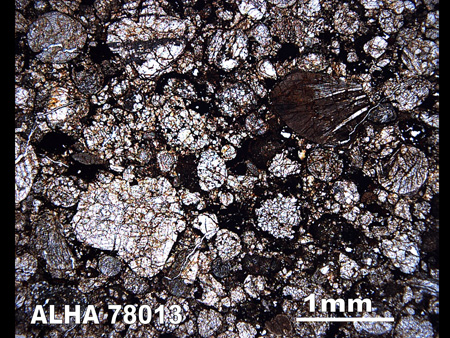 Thin Section Photograph of Sample ALHA 78013 in Plane-Polarized Light