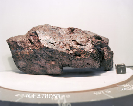 Lab Photograph of Sample ALHA 78038 (Photo Number: S80-29774)