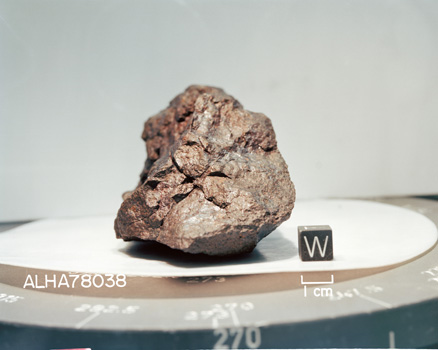 Lab Photograph of Sample ALHA 78038 (Photo Number: S80-29777)