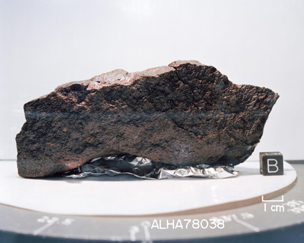 Lab Photograph of Sample ALHA 78038 (Photo Number: S80-29779)