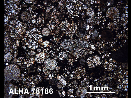 Thin Section Photograph of Sample ALHA 78186 in Plane-Polarized Light