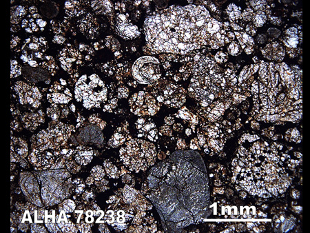 Thin Section Photograph of Sample ALHA 78238 in Plane-Polarized Light