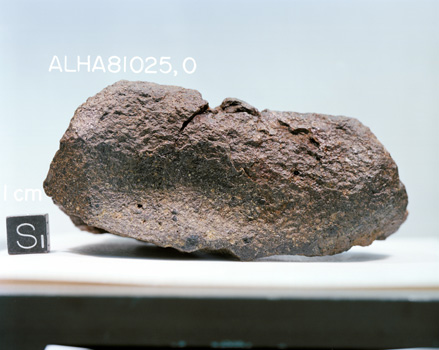 Lab Photograph of Sample ALHA 81025 (Photo Number: S83-25179)