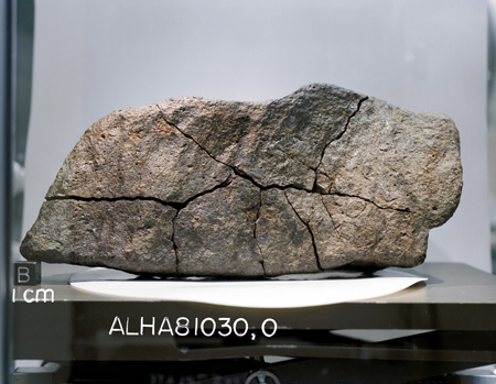 Lab Photograph of Sample ALHA 81030 (Photo Number: S83-25134)