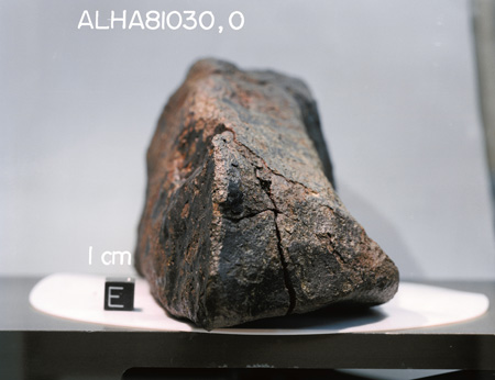 Lab Photograph of Sample ALHA 81030 (Photo Number: S83-25136)
