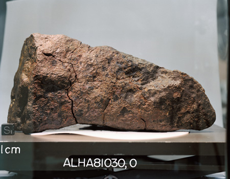 Lab Photograph of Sample ALHA 81030 (Photo Number: S83-25138)
