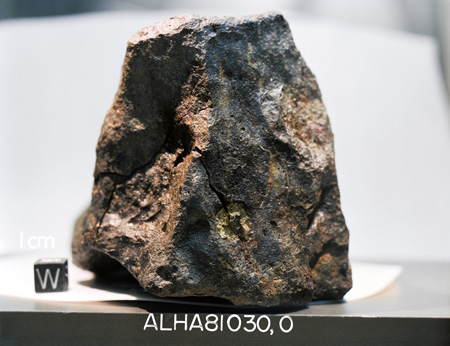 Lab Photograph of Sample ALHA 81030 (Photo Number: S83-25140)