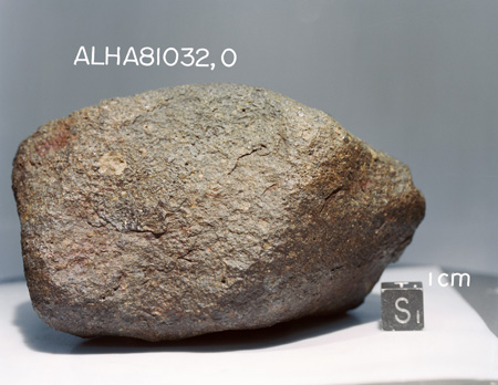Lab Photograph of Sample ALHA 81032 (Photo Number: S82-39958)