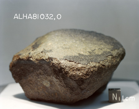 Lab Photograph of Sample ALHA 81032 (Photo Number: S82-39959)