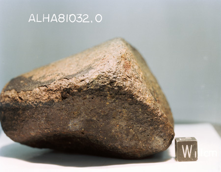 Lab Photograph of Sample ALHA 81032 (Photo Number: S82-39963)