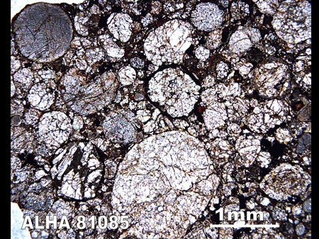 Thin Section Photograph of Sample ALHA 81085 in Plane-Polarized Light