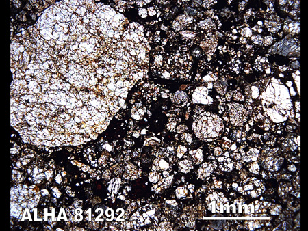Thin Section Photograph of Sample ALHA 81292 in Plane-Polarized Light