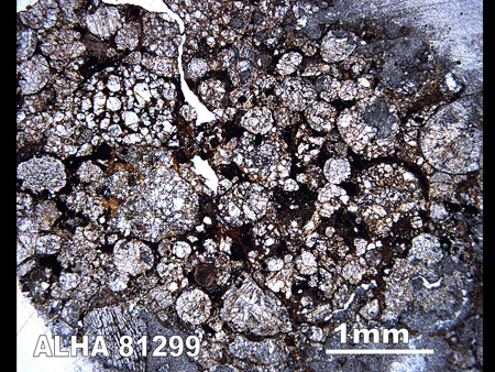 Thin Section Photograph of Sample ALHA 81299 in Plane-Polarized Light