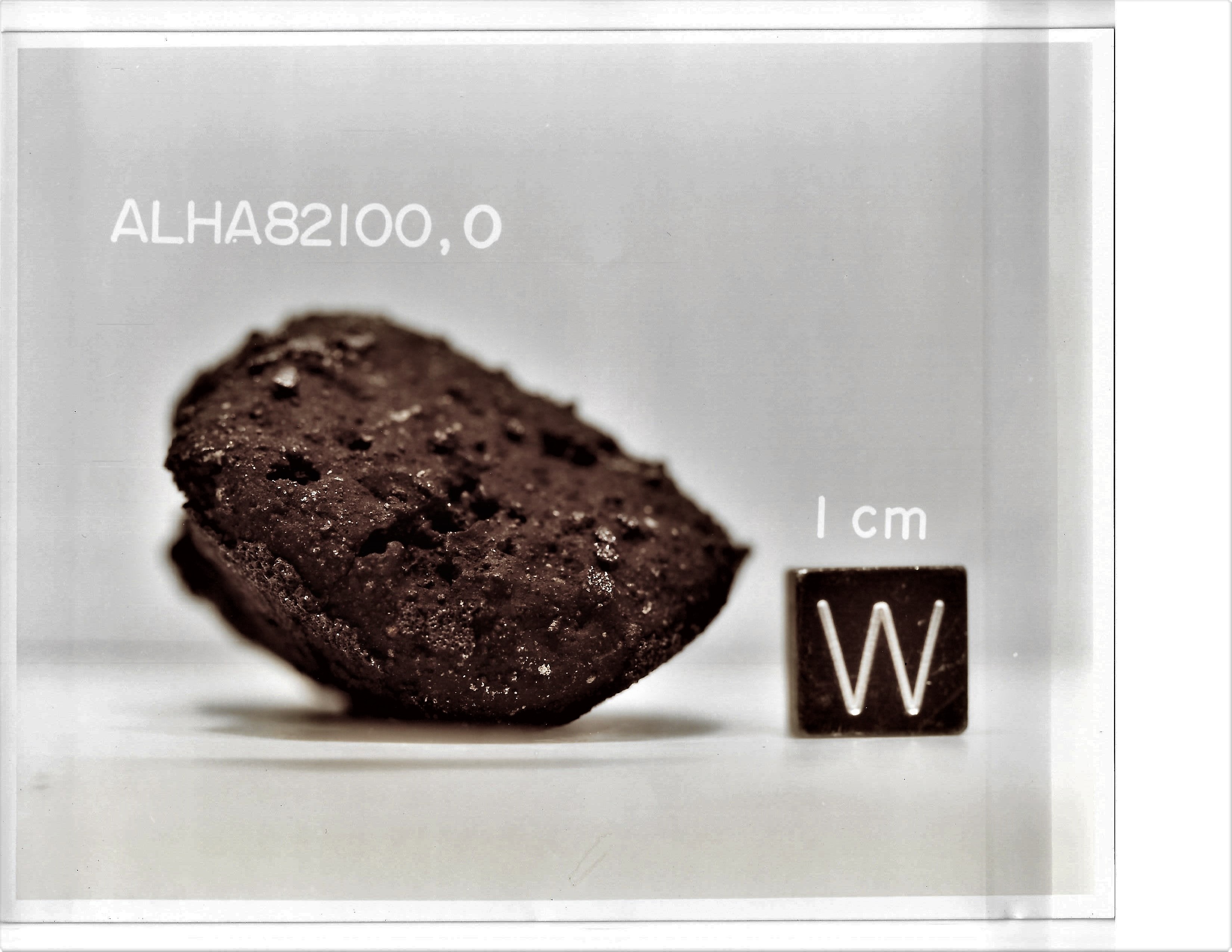 Lab Photo of Sample ALH 82100 Displaying West Orientation