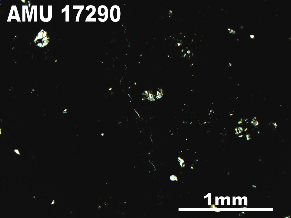 Thin Section Photo of Sample AMU 17290 in Plane-Polarized Light with 2.5X Magnification