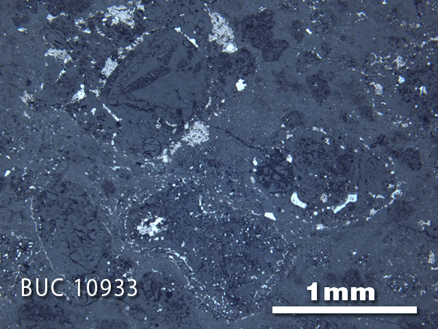 Thin Section Photo of Sample BUC 10933 in Reflected Light with 2.5X Magnification