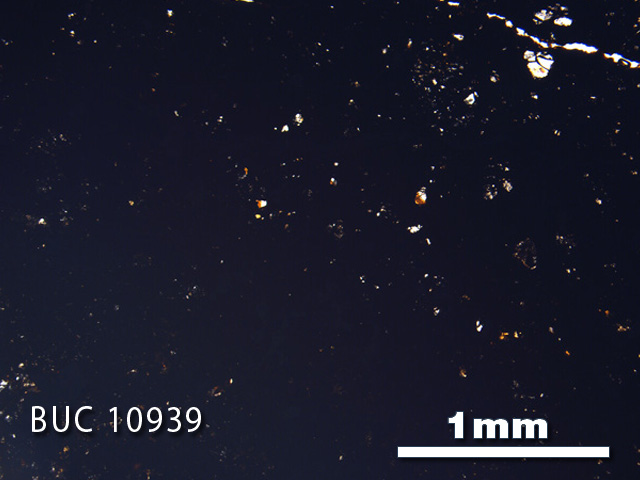 Thin Section Photograph of Sample BUC 10939 in Plane-Polarized Light
