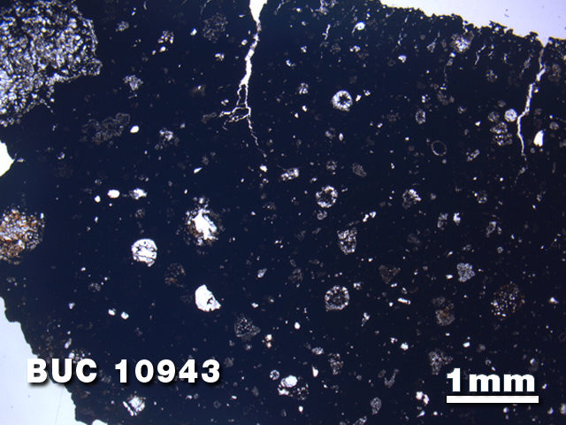 Thin Section Photo of Sample BUC 10943 at 1.25X Magnification in Plane-Polarized Light