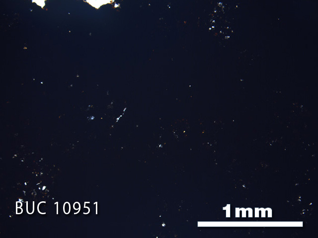 Thin Section Photograph of Sample BUC 10951 in Plane-Polarized Light