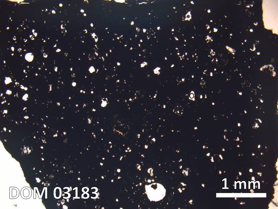 Thin Section Photo of Sample DOM 03183 in Plane-Polarized Light with  Magnification