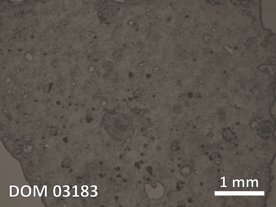 Thin Section Photo of Sample DOM 03183 in Reflected Light with  Magnification