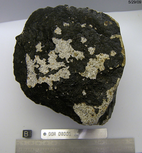 Lab Photograph of Bottom View of Sample DOM 08001