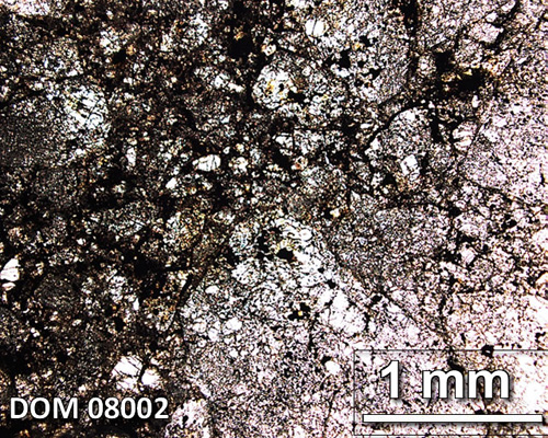 Thin Section Photograph of Sample DOM 08002 in Plane-Polarized Light